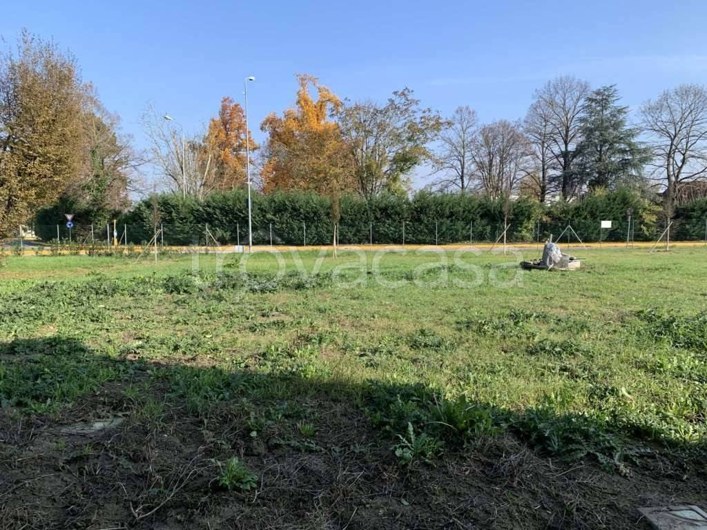 immagine annuncio 4 di 12