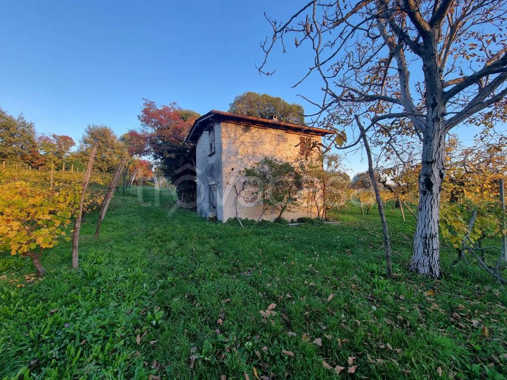 immagine annuncio 9 di 11