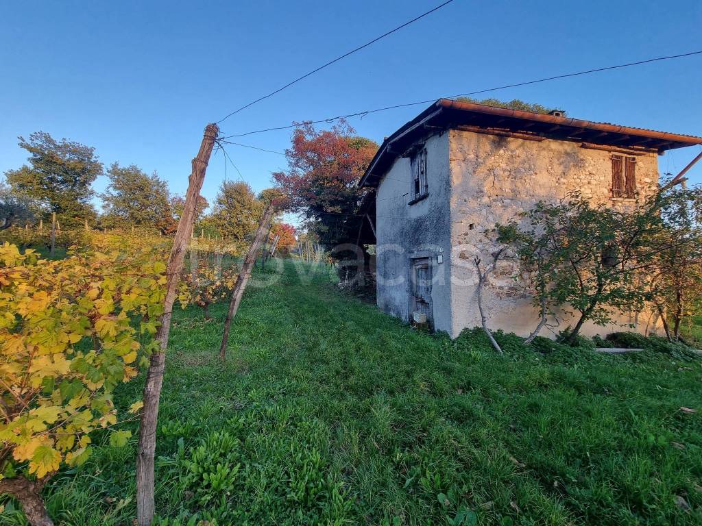 immagine annuncio 10 di 11