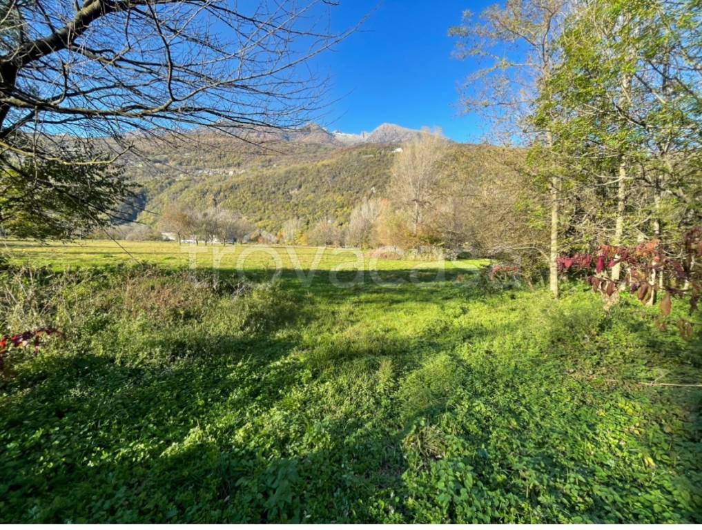 immagine annuncio 1 di 2