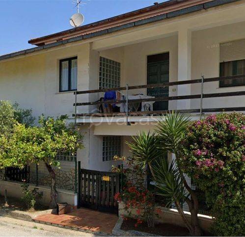 immagine annuncio 2 di 12