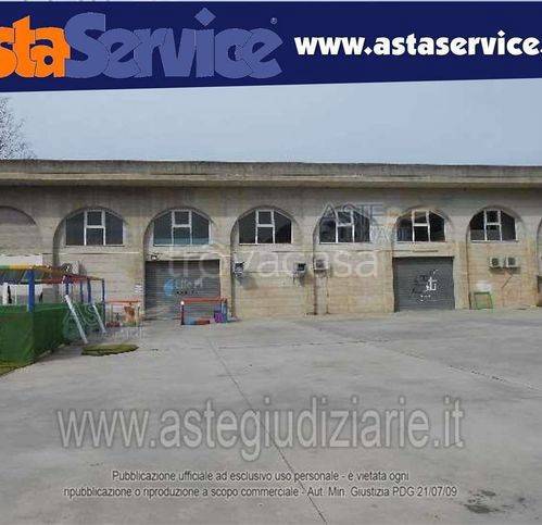 immagine annuncio 9 di 12