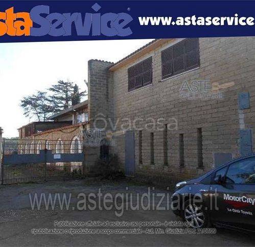 immagine annuncio 10 di 12