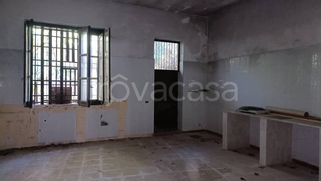 immagine annuncio 1 di 8