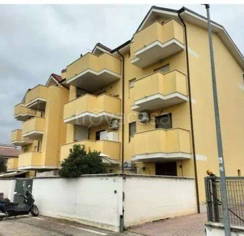 immagine annuncio 1 di 12