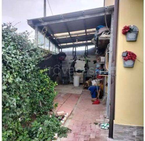 immagine annuncio 4 di 12