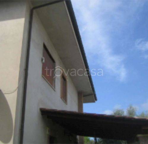 immagine annuncio 5 di 14