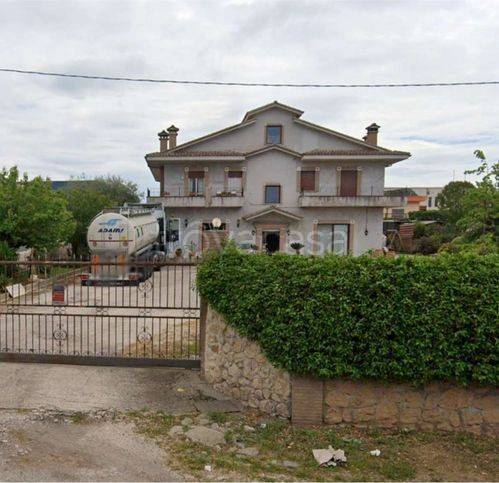 immagine annuncio 6 di 14