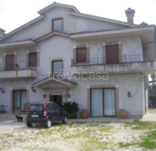 immagine annuncio 10 di 14