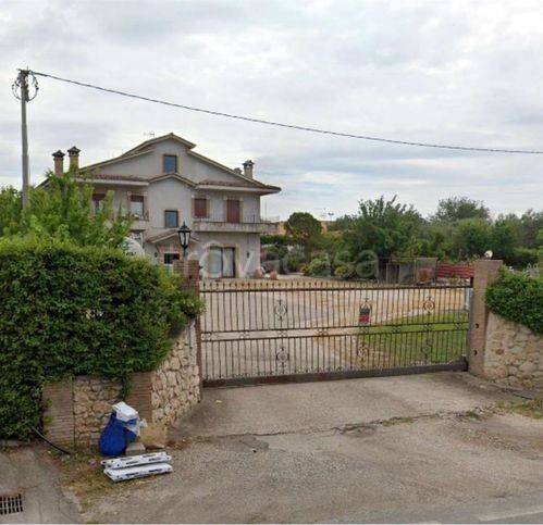 immagine annuncio 11 di 14