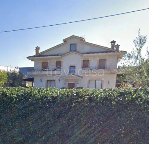 immagine annuncio 12 di 14