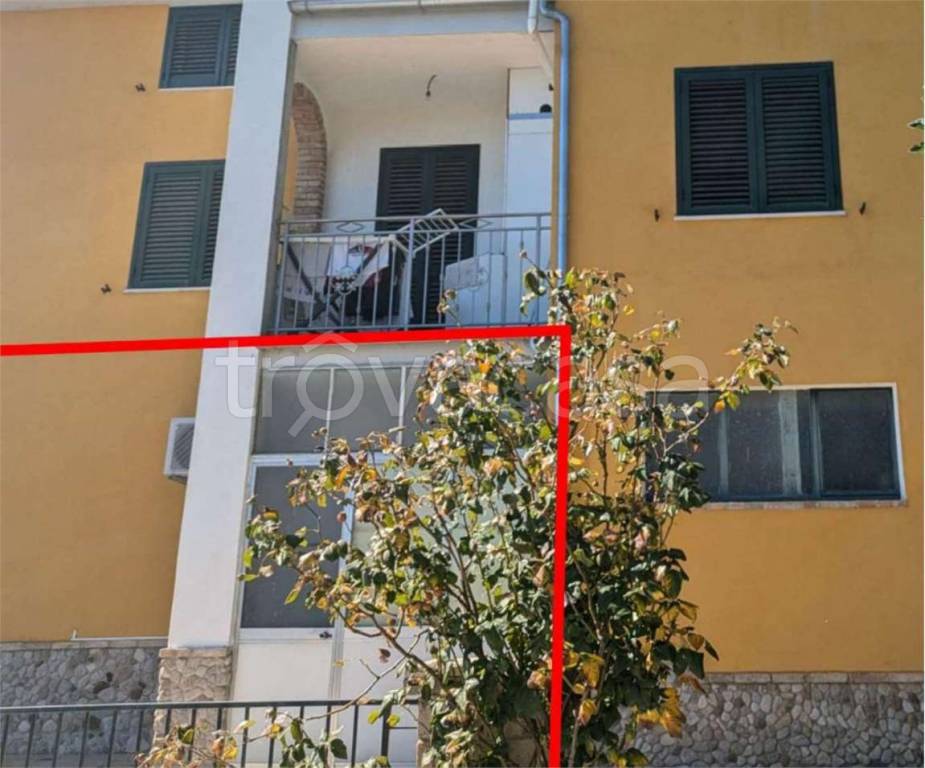 immagine annuncio 4 di 13