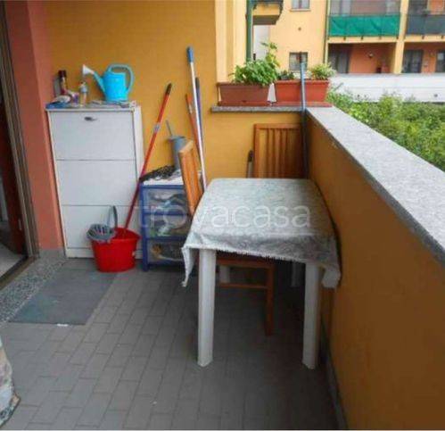 immagine annuncio 9 di 15