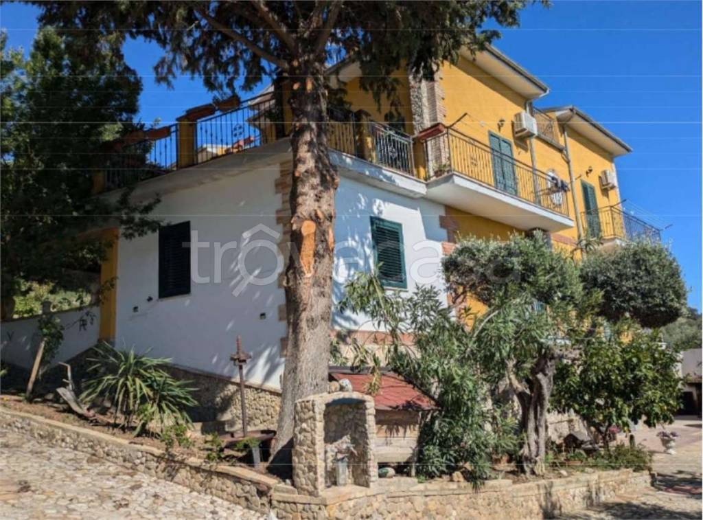 immagine annuncio 6 di 13