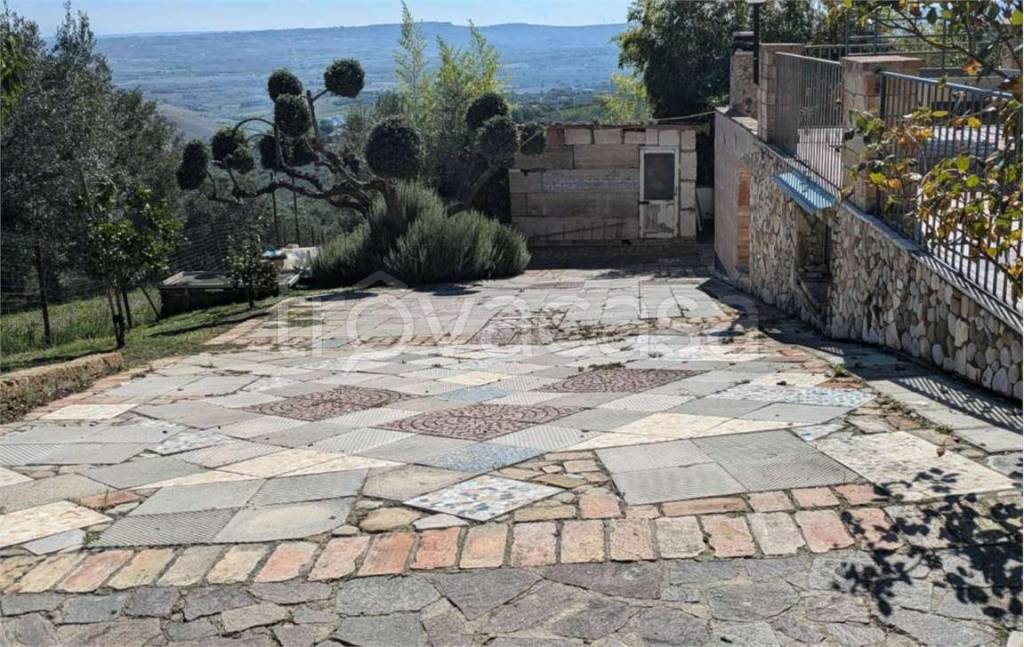 immagine annuncio 8 di 13