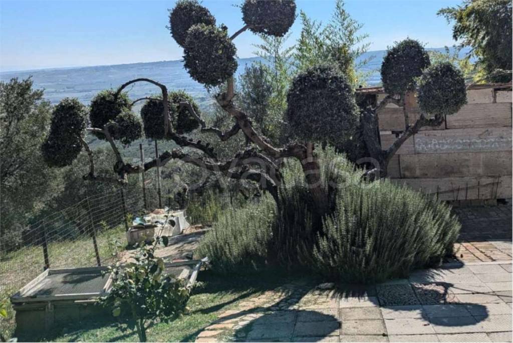 immagine annuncio 9 di 13