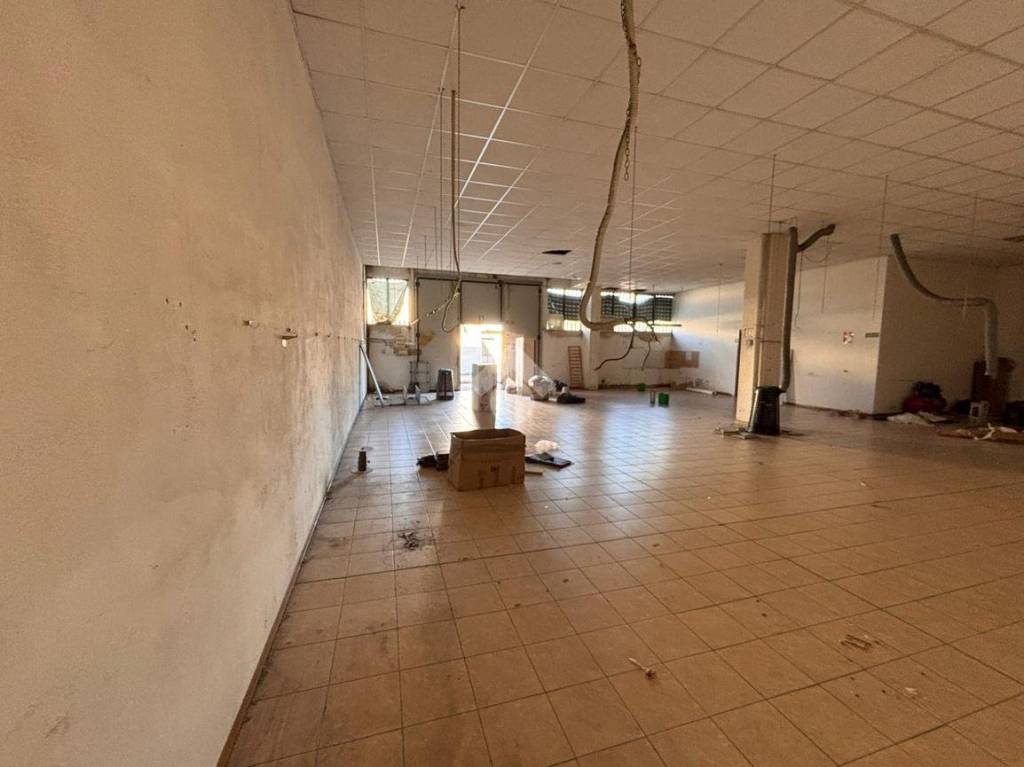 immagine annuncio 3 di 14