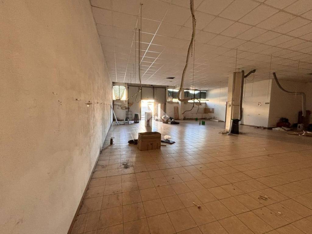 immagine annuncio 4 di 14