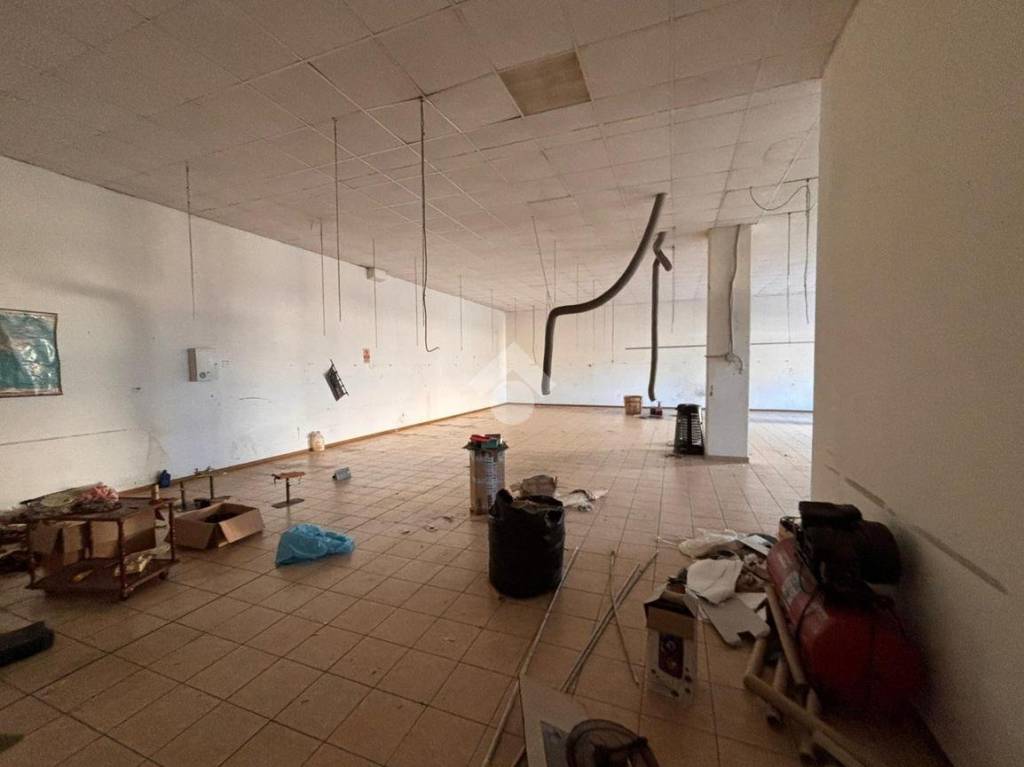 immagine annuncio 5 di 14