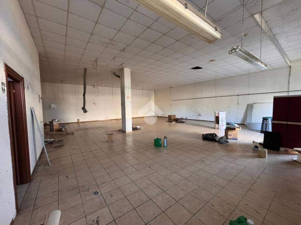 immagine annuncio 6 di 14