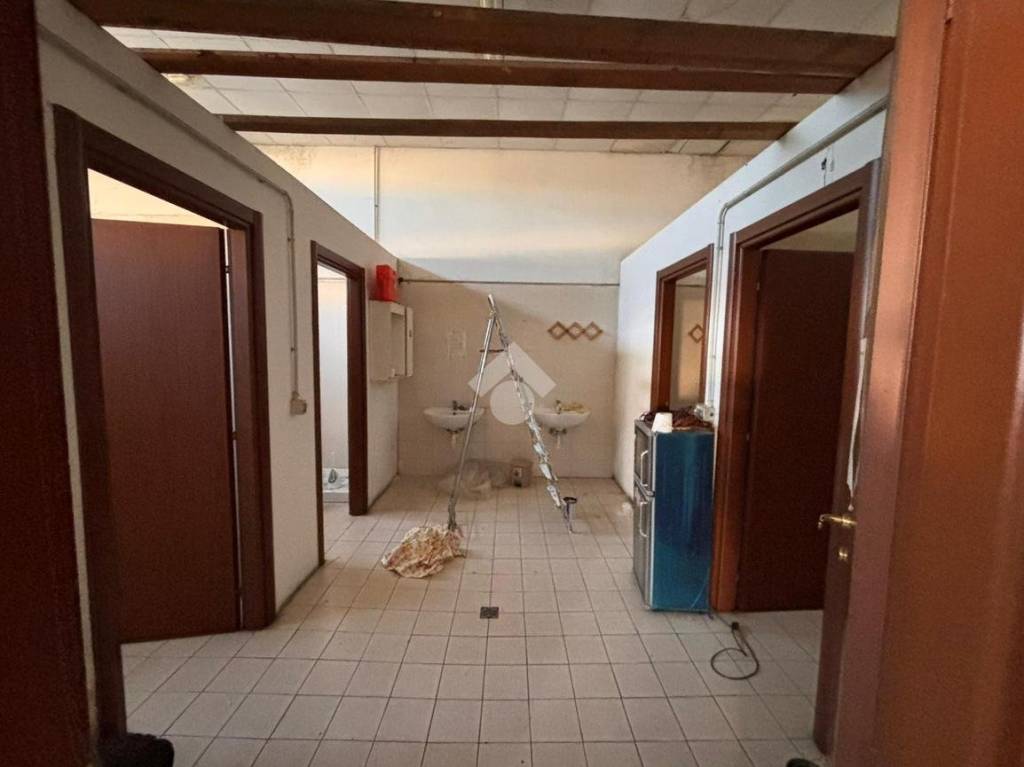 immagine annuncio 10 di 14