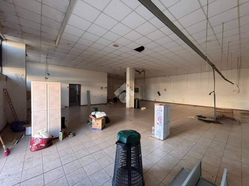 immagine annuncio 12 di 14