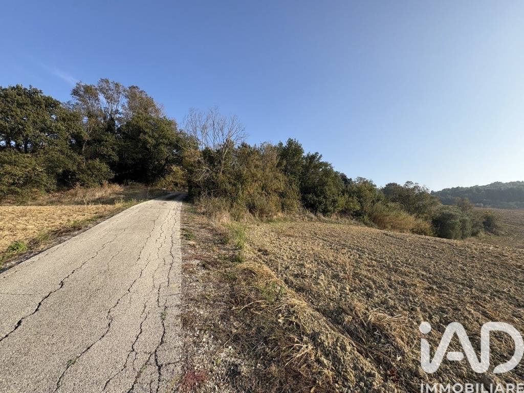 immagine annuncio 6 di 8