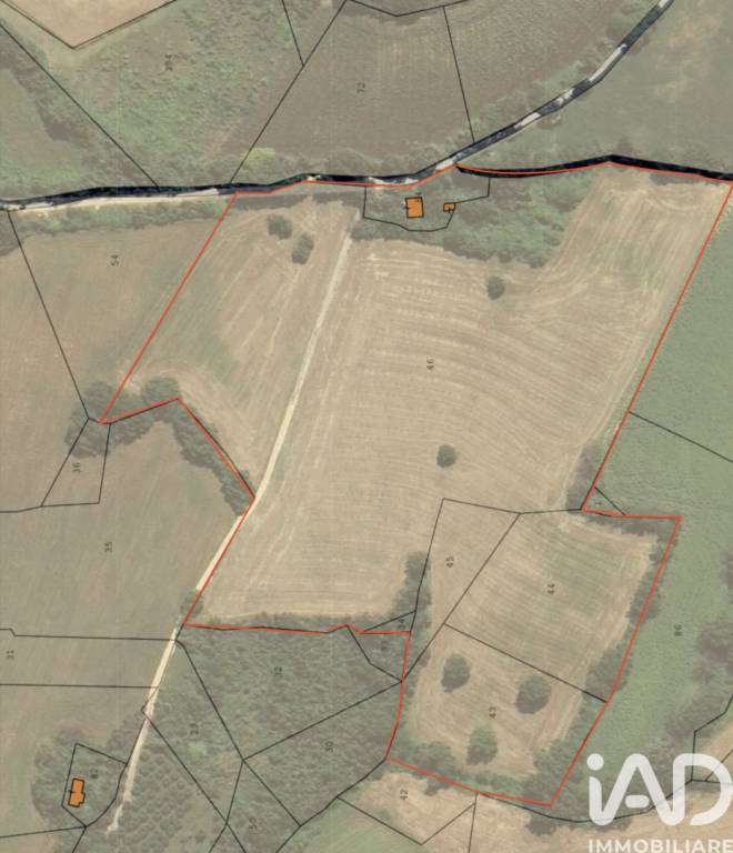 immagine annuncio 7 di 8