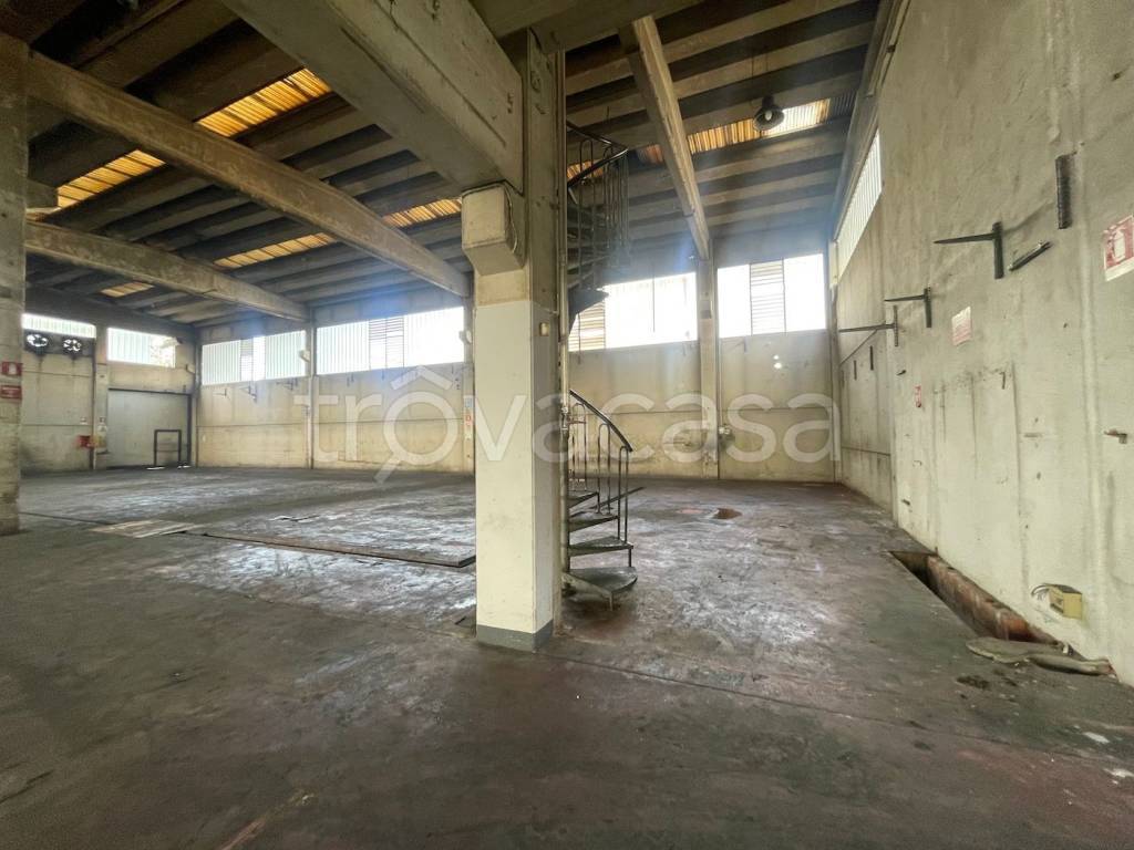 immagine annuncio 9 di 15