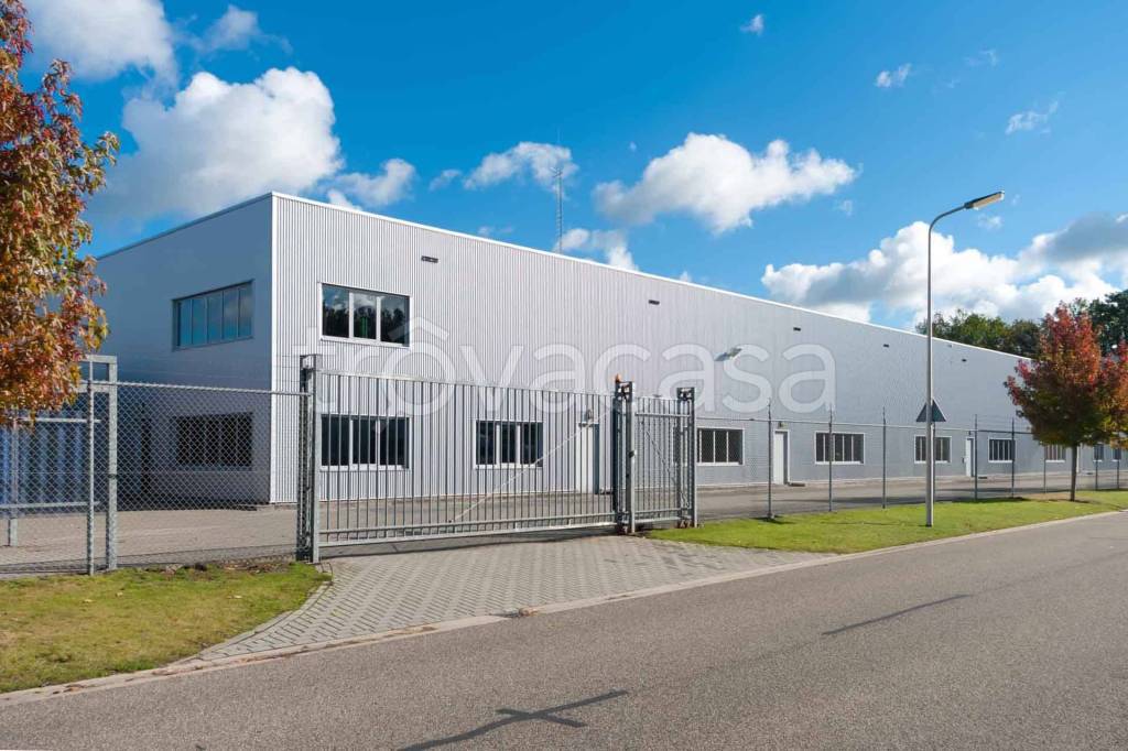 immagine annuncio 1 di 14