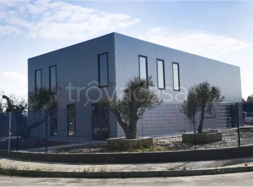 immagine annuncio 4 di 14