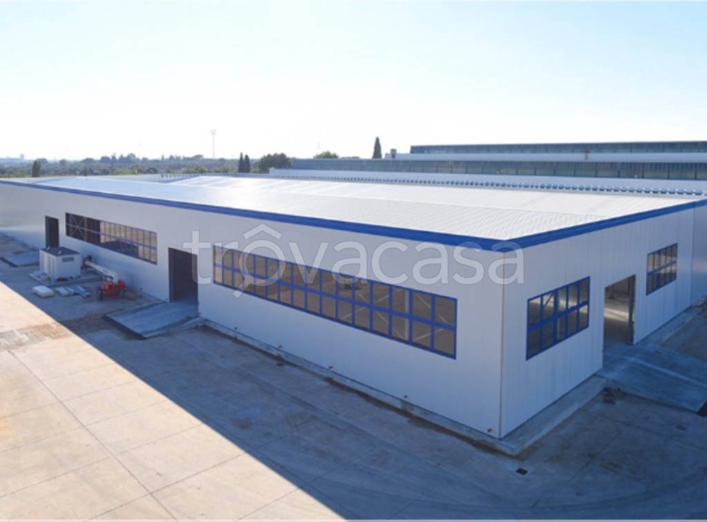 immagine annuncio 6 di 14