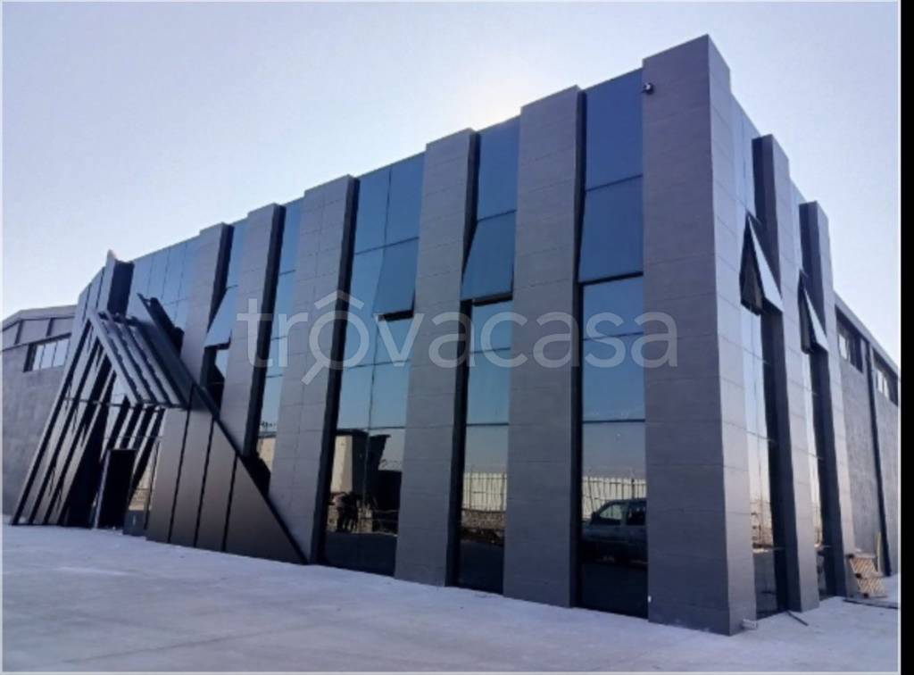 immagine annuncio 5 di 14