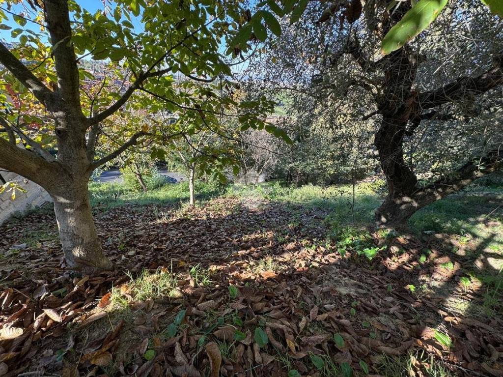 immagine annuncio 5 di 9