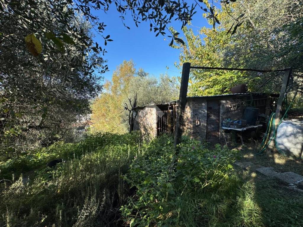 immagine annuncio 7 di 9