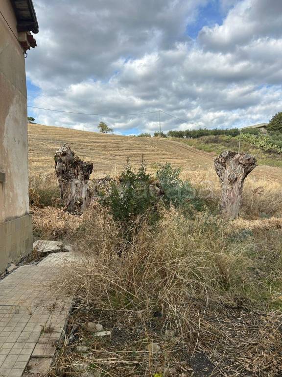 immagine annuncio 6 di 9