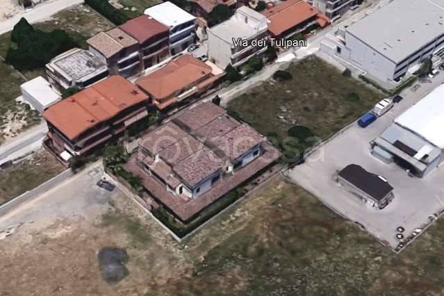 immagine annuncio 5 di 13