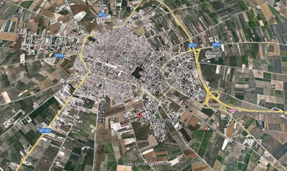 immagine annuncio 8 di 13