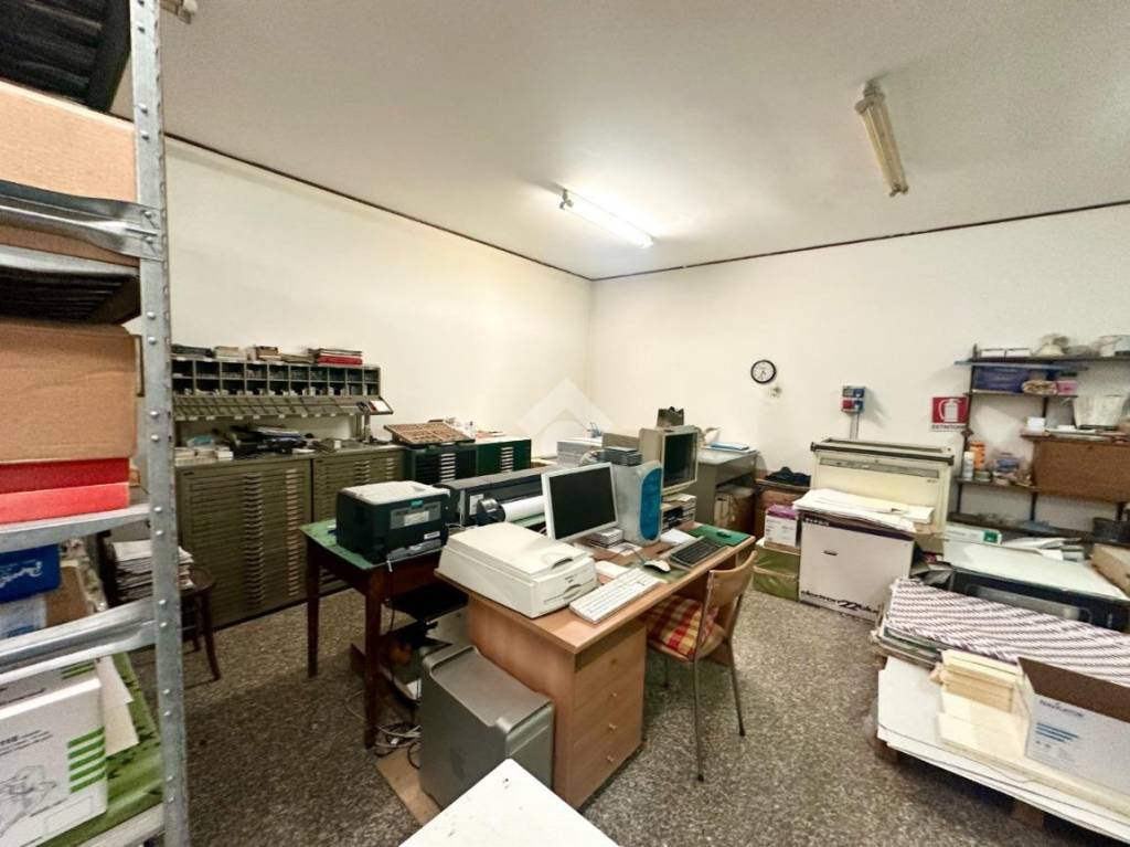 immagine annuncio 3 di 11