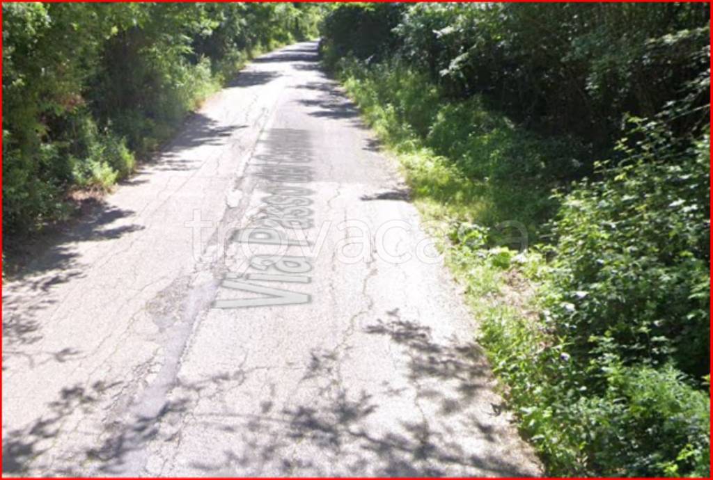 immagine annuncio 6 di 12