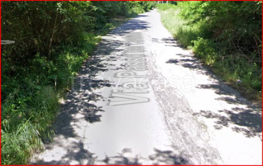 immagine annuncio 9 di 12