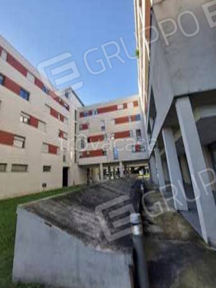 immagine annuncio 2 di 8