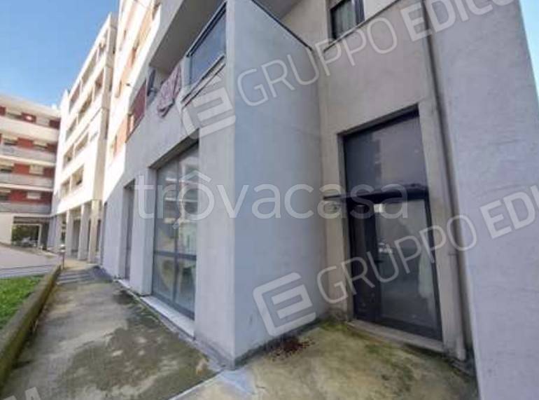 immagine annuncio 4 di 8