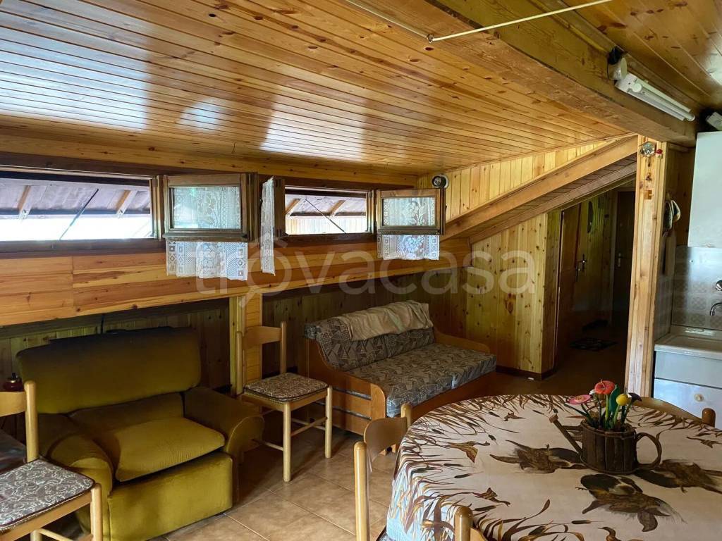 immagine annuncio 3 di 14