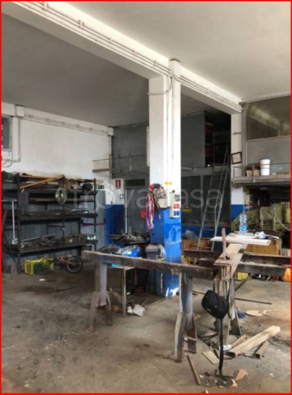 immagine annuncio 9 di 14