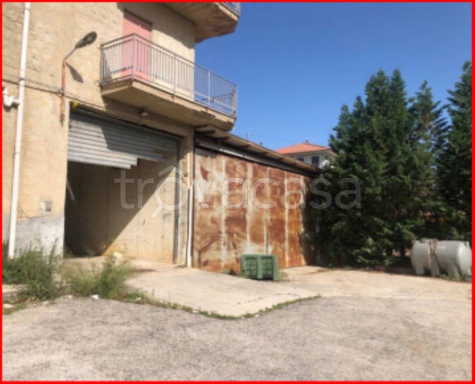 immagine annuncio 6 di 14