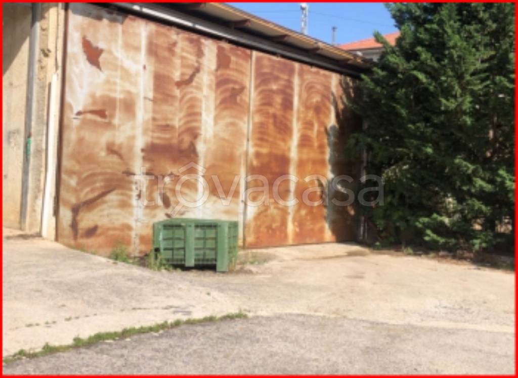 immagine annuncio 7 di 14