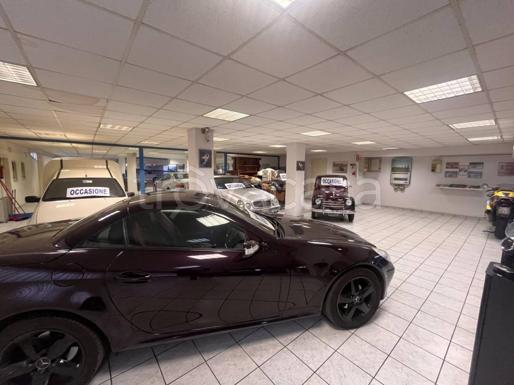 immagine annuncio 4 di 15