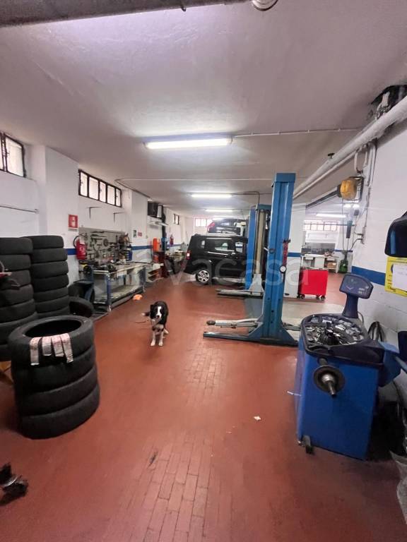 immagine annuncio 13 di 15