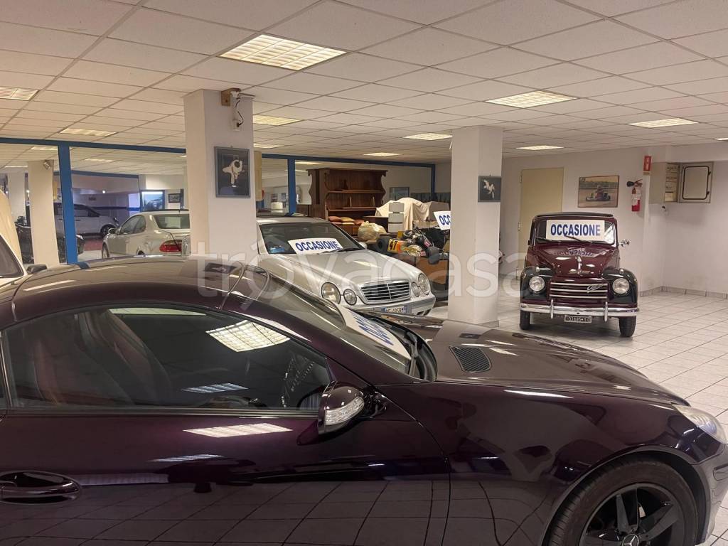 immagine annuncio 6 di 15